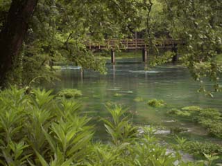 Big Spring Branch - Van Buren, Missouri