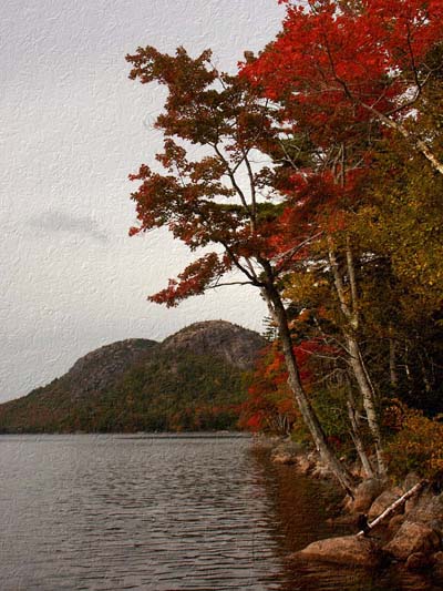 Foster Pond, Bubbles - Acadia National Park, Maine