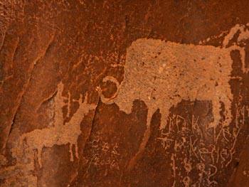 Bison And Hunter