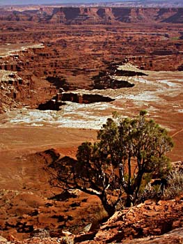 Gooseberry Canyon Overlook