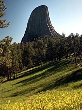 The Tower From The North