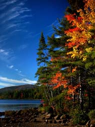 Eagle Lake - Acadia National Park