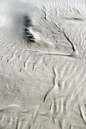Odd Ripples