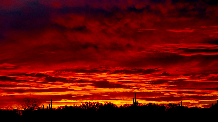 Arizona Sunset