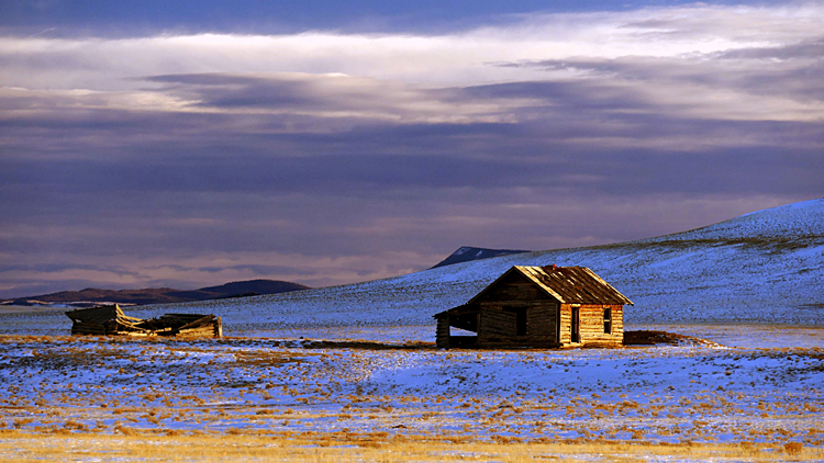 Cabins In Snow
