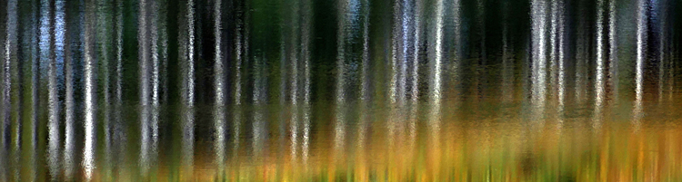 Tree Reflection