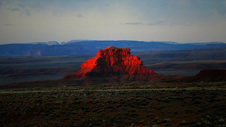 Desert Dawn