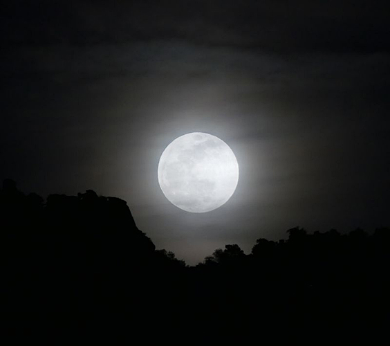 Wolf Moon