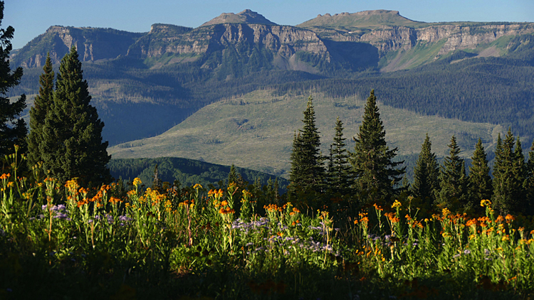Ripple Creek Pass