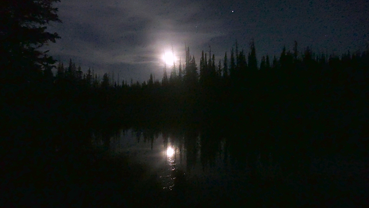 Moonrise