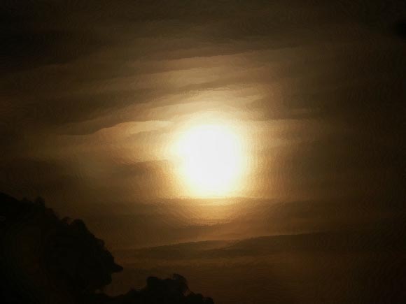 Cloudy Moon Through Trees