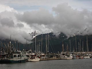 The Marina At Seward